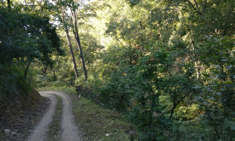 Jim corbett